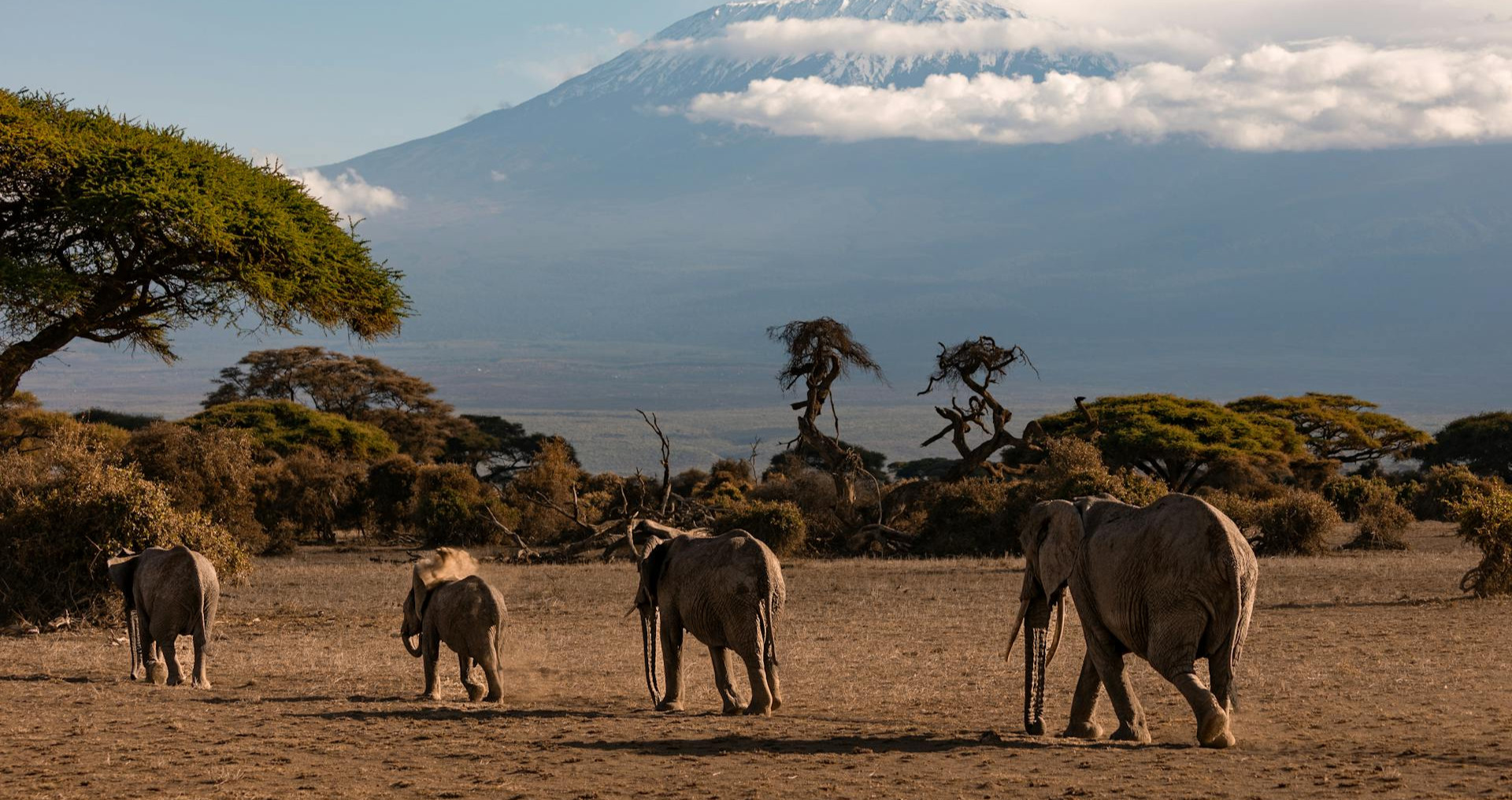 Best Safari Destinations in Kenya for an Unforgettable Adventure