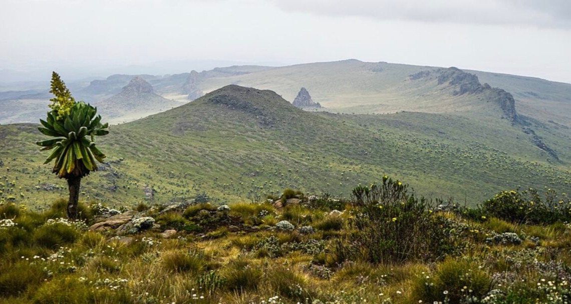 Aberdare National Park