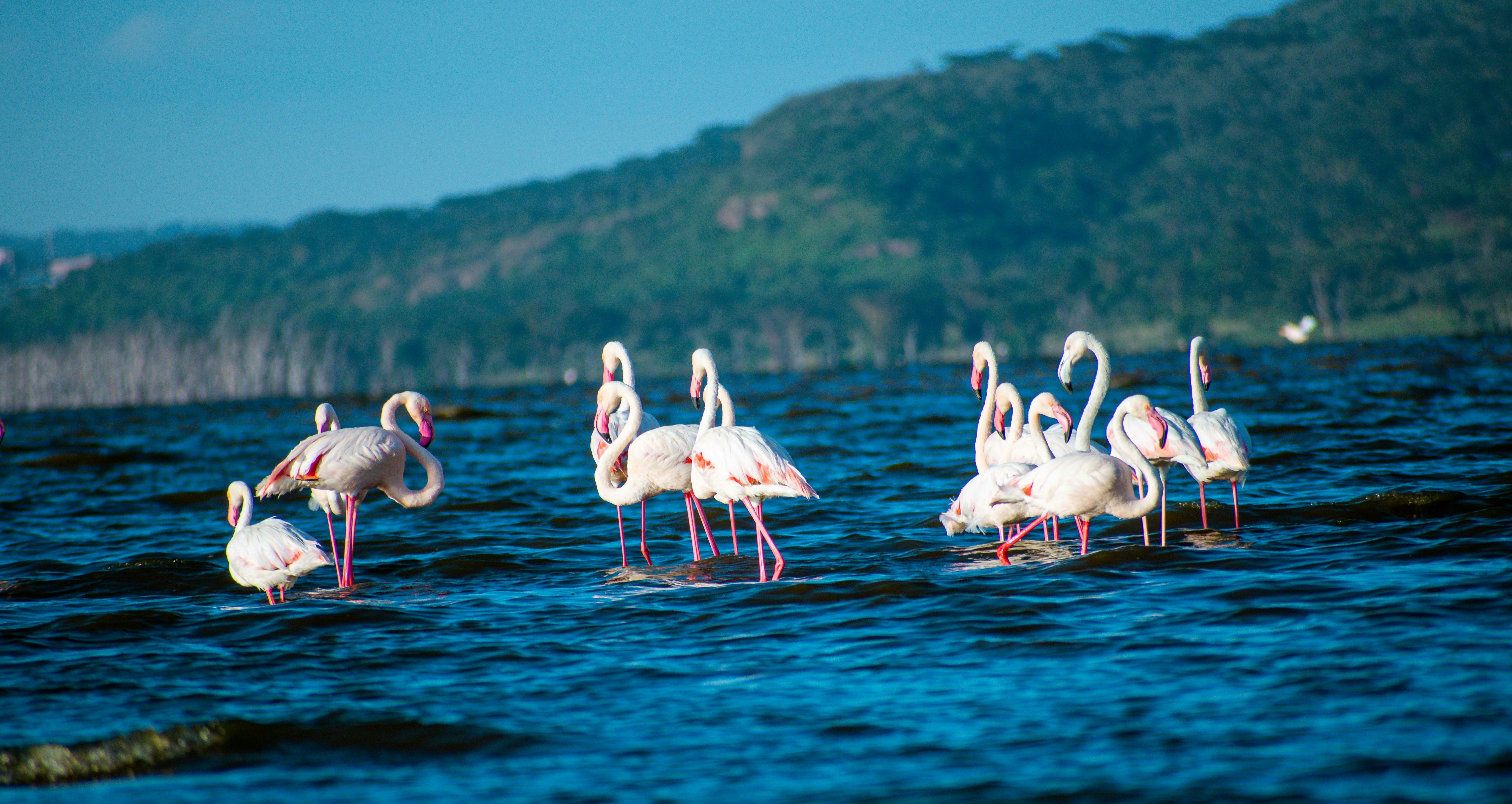 Lake Nakuru National Park