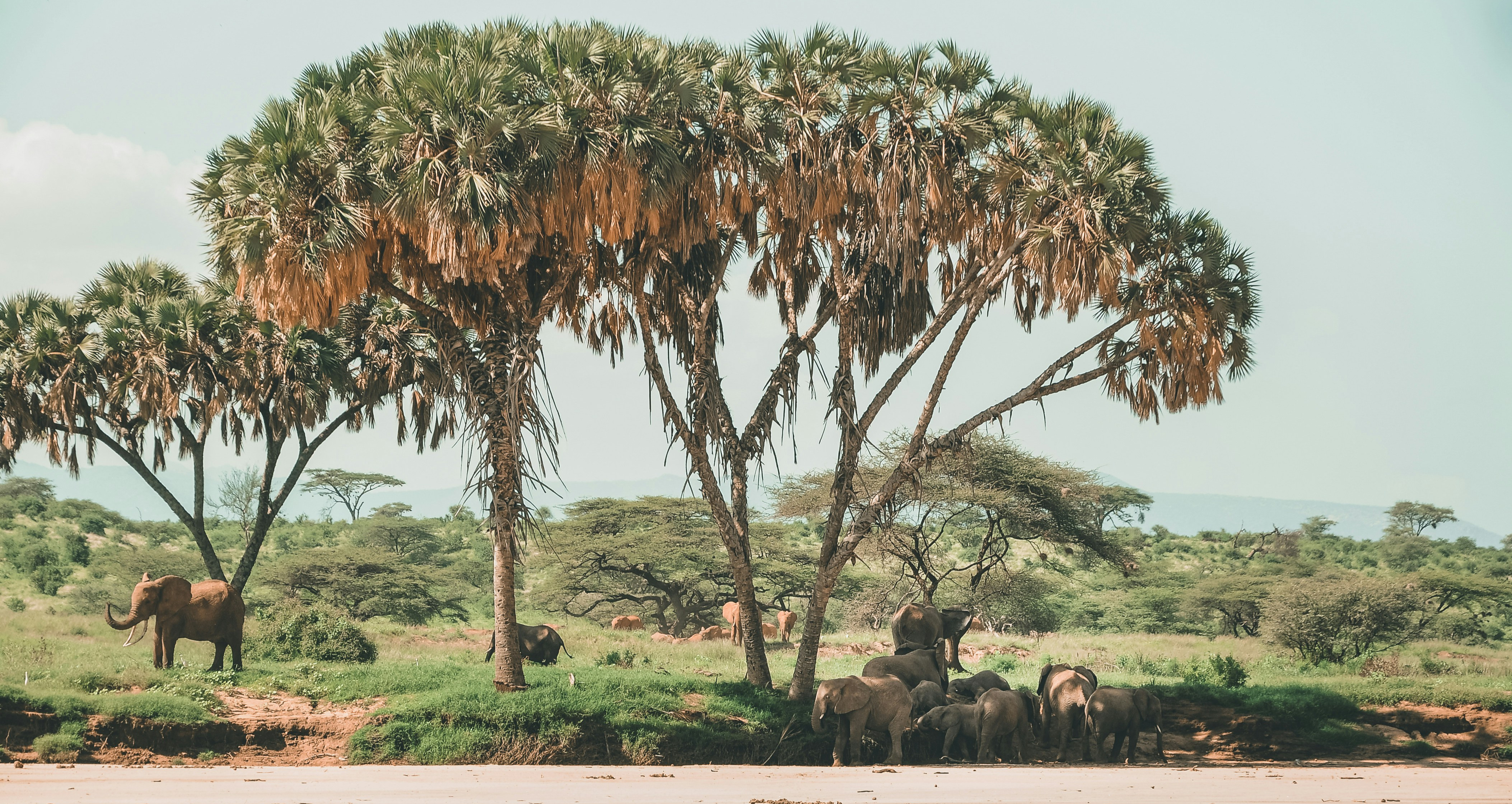 Samburu National Reserve